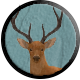 Red Deer