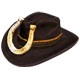 Call of Juarez Gunslinger