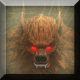 Sang-Froid - Tales of Werewolves