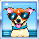 Summer Collection - 2023 - Level 30