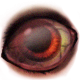 Infection H+5
