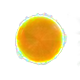 Polynomial 2