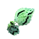 Wild Island Quest
