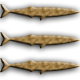 Ace of Seafood