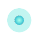 The Last Photon