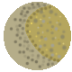 Moon Colonization Project