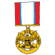 Ludicrous Service Medal