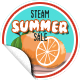 Steam Summer 2017