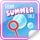Steam Summer 2017