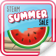 Steam Summer 2017