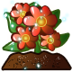 Alchemy Garden