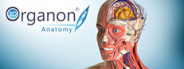 3D Organon Anatomy | Enterprise Edition