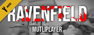 Ravenfield: Multiplayer Mod