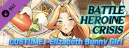 Battle Heroine Crisis COSTUME : Elizabeth Bunny Girl