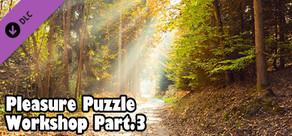 Pleasure Puzzle:Workshop - Part 3