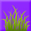 chef_264