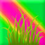 chef_3035