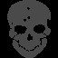 Intelligence Officer