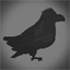 Catch the Raven