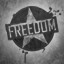 Freedom Singleplayer Bronze Medal