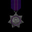 War Medal (Second Grade)