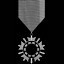 Strategic Ops Medal