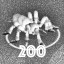200 SPIDERS DEAD