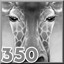 Giraffes
