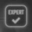 Expert