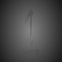 Chapter 1