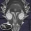 CoOp: Perfect World 5