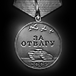 Medal For Valour