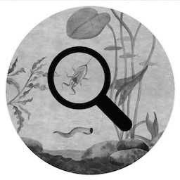 Researcher