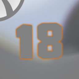 Level 18