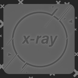X-ray everything