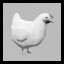 What A Chicken!