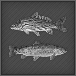 Fish farming