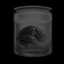 Brain in the Jar