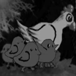 Herder of Purple Chickens