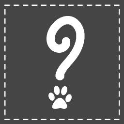 Cat Person