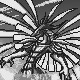 Elyon's Emblem