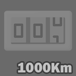 Odometer 1000Km