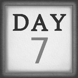 Day 7