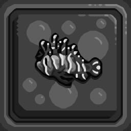 Reef Fellas Enthusiast