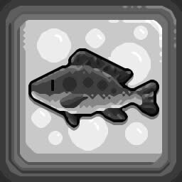 Marine Dwellers Enthusiast