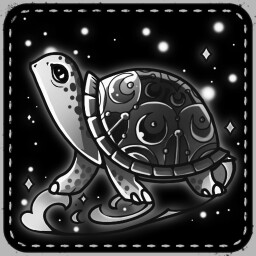 Turtle Owner