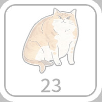 23