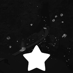 Level 4