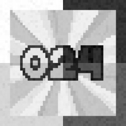 Completed 024