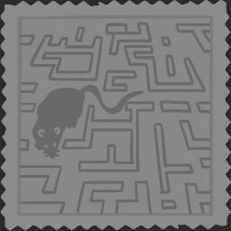 Maze Rat